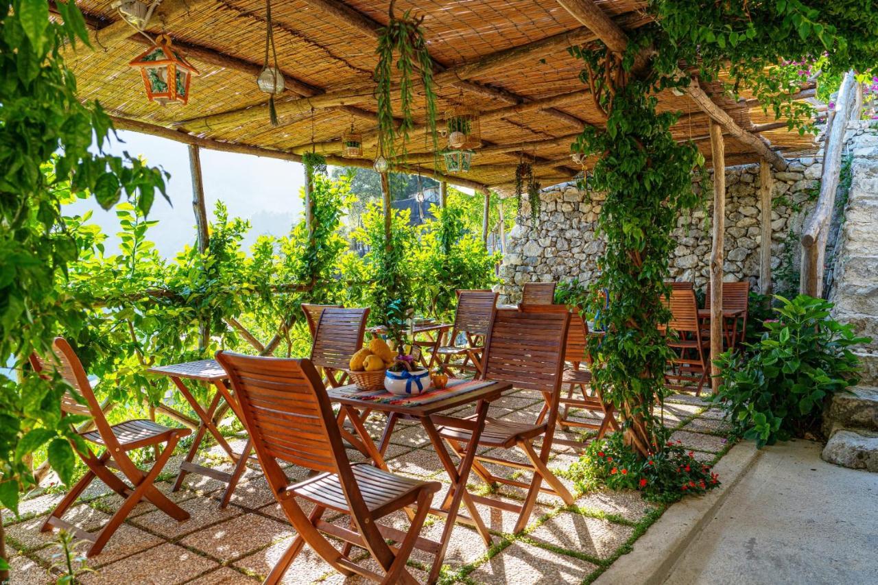 Poggio Angelarosa: Lemon Garden Stay&Relax Scala Exterior photo